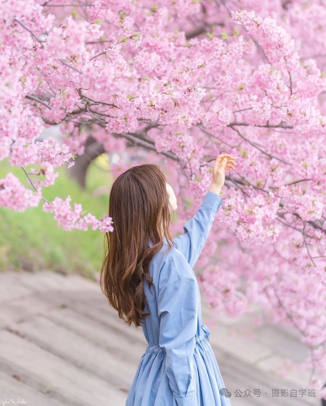 春天一个人拍照，12个姿势，摄影照片美如画-微乐乎