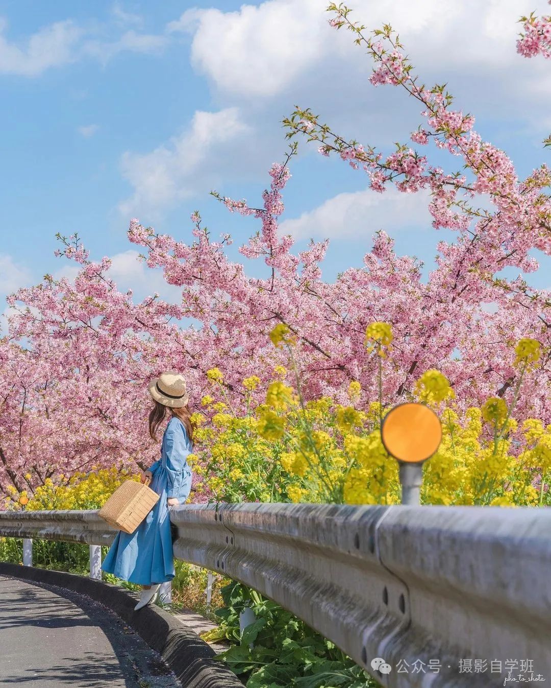 春天一个人拍照，12个姿势，摄影照片美如画-微乐乎